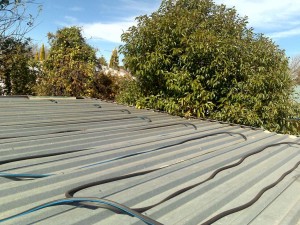 Roof.jpg